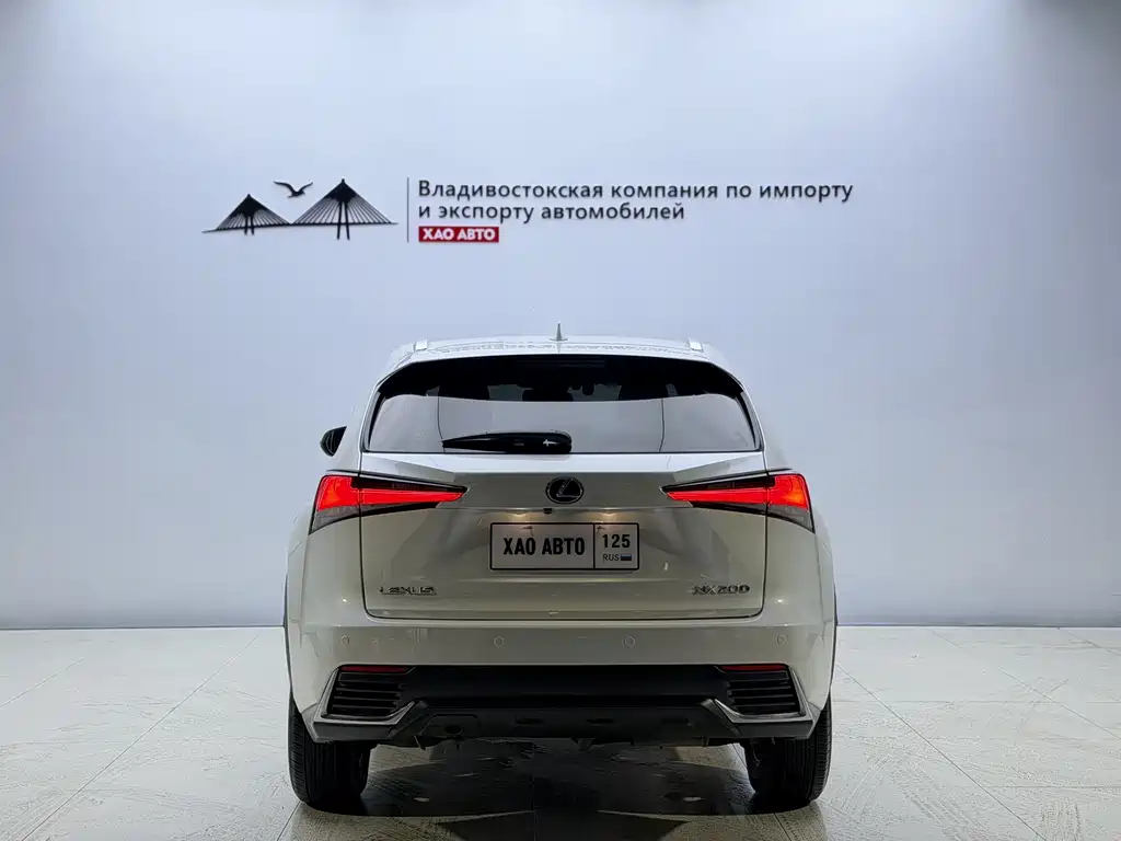 Lexus NX 2020 200 All-Wheel Drive Fengshang Edition National V