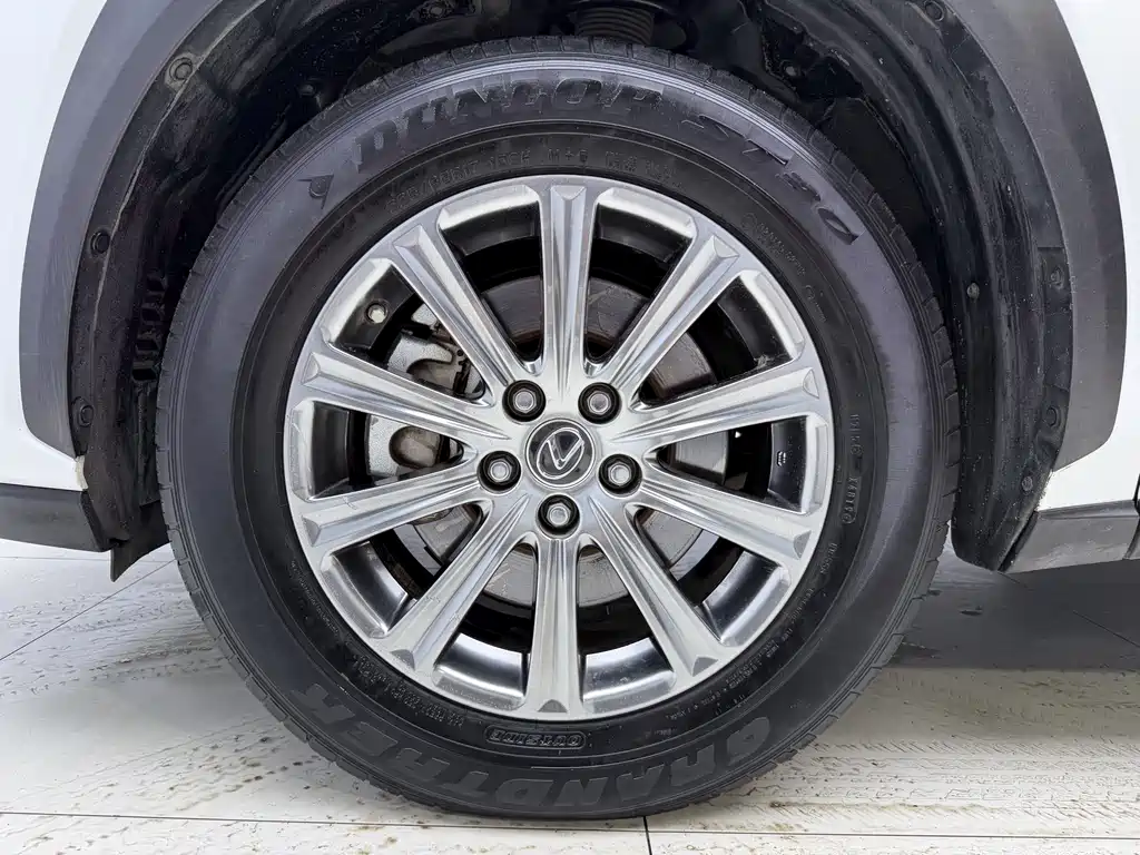 Lexus NX 2020 200 All-Wheel Drive Fengshang Edition National V