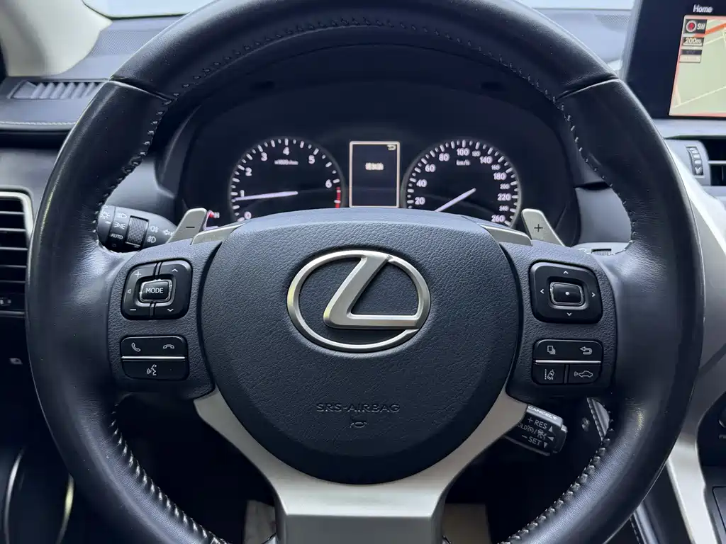 Lexus NX 2020 200 All-Wheel Drive Fengshang Edition National V