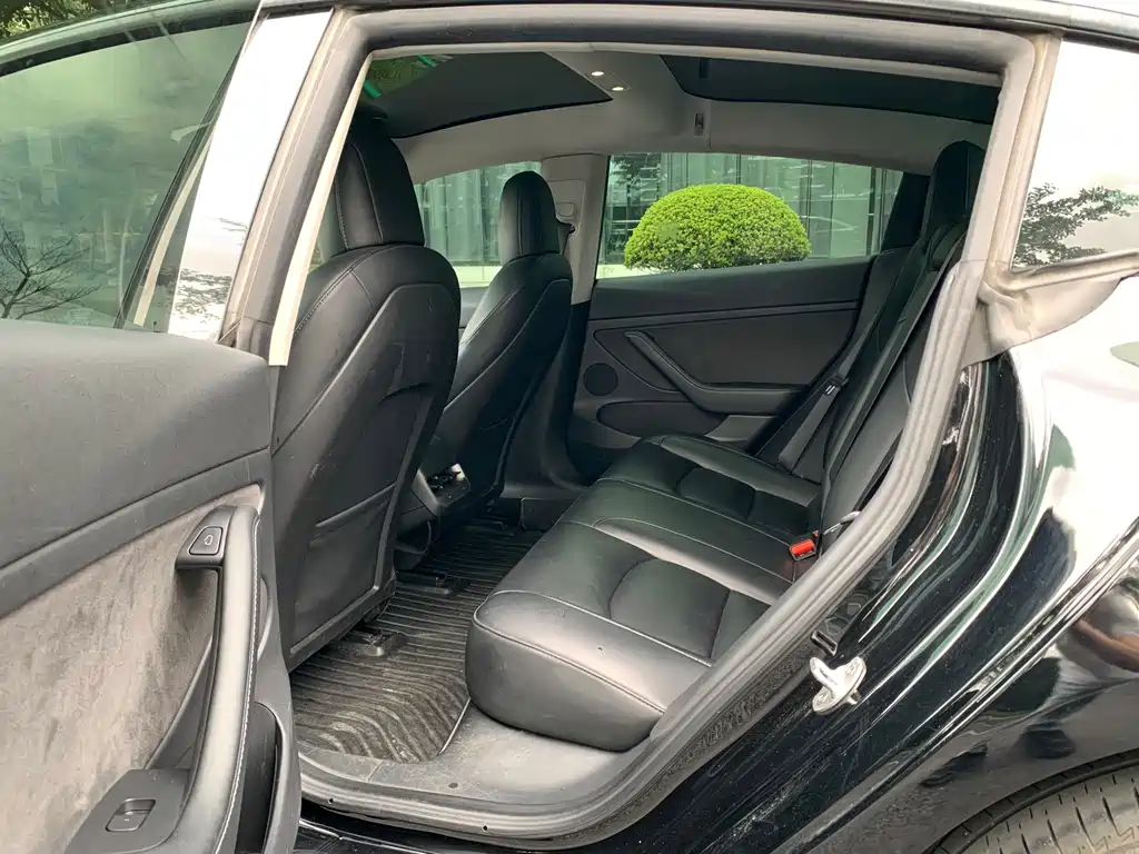 Model 3 Rear-Wheel Drive 2022