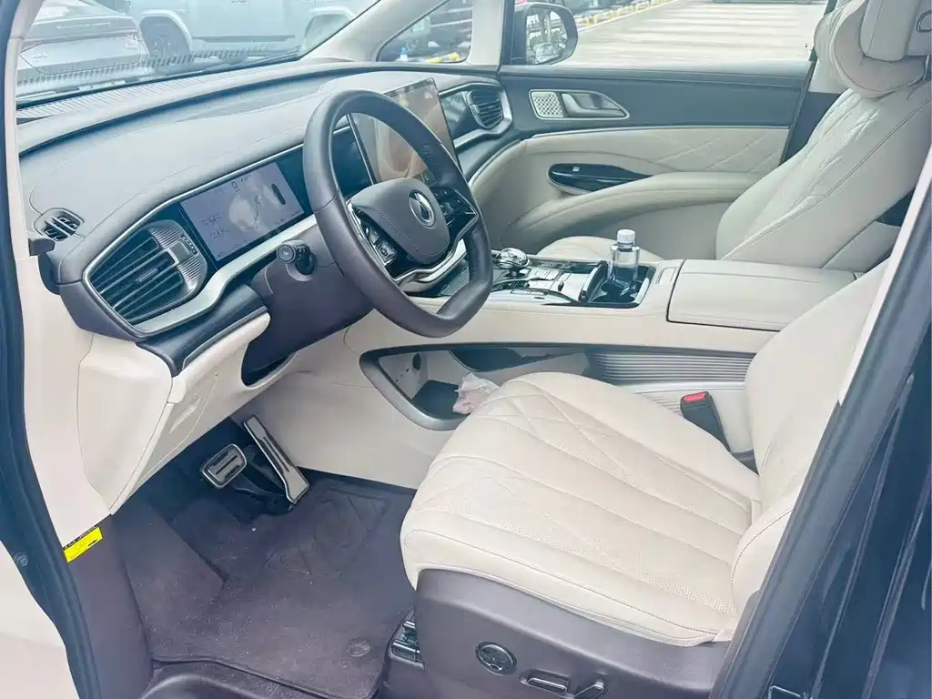 Tengri D9 2025 Model DM-i Smart Drive Edition 1020 All-Wheel Drive Flagship Type