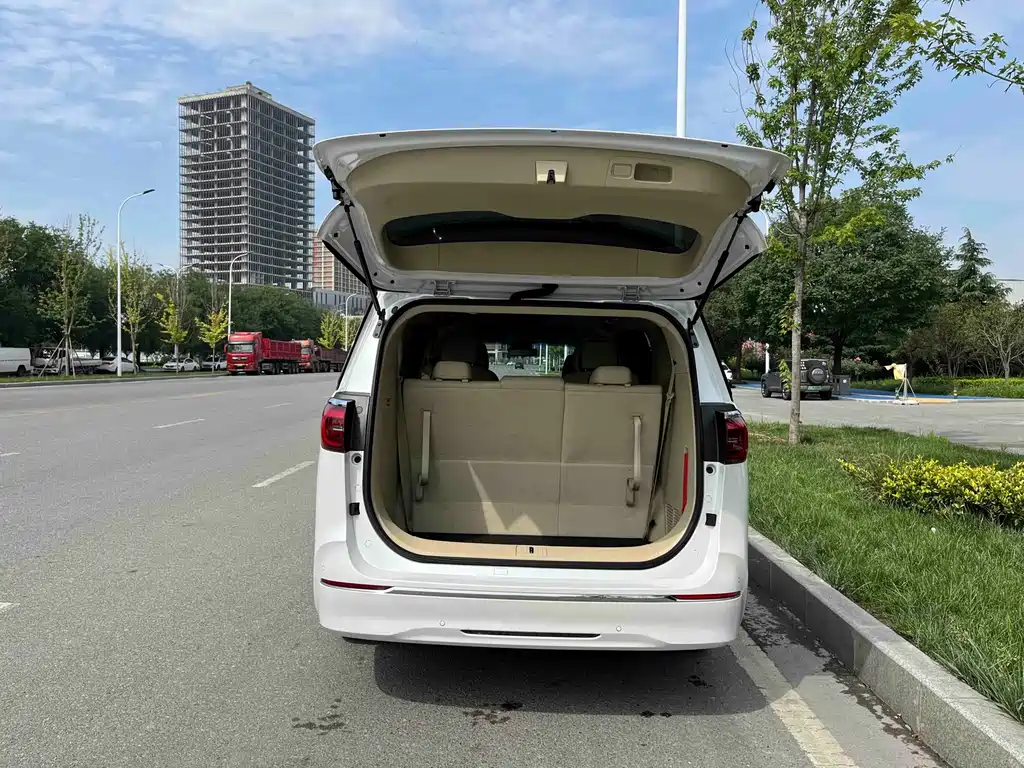 Buick GL8 2023 ES Luxury Edition