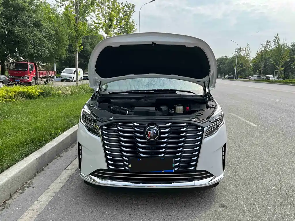 Buick GL8 2023 ES Luxury Edition