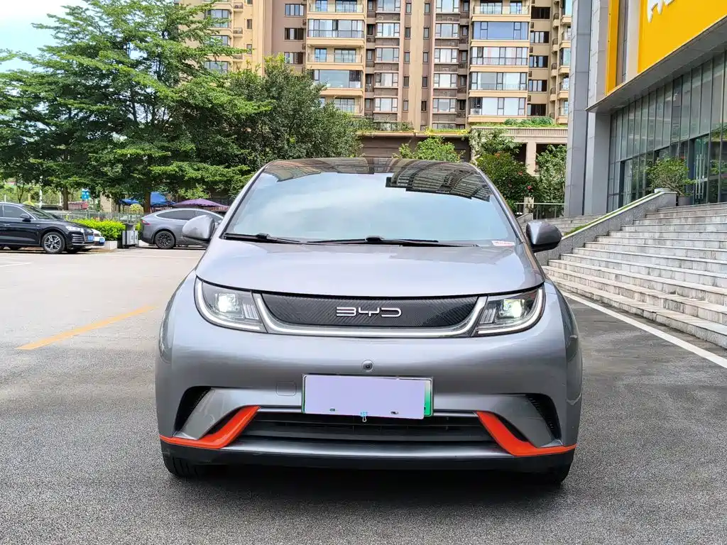 Dolphin 2021 405km Fashion Edition