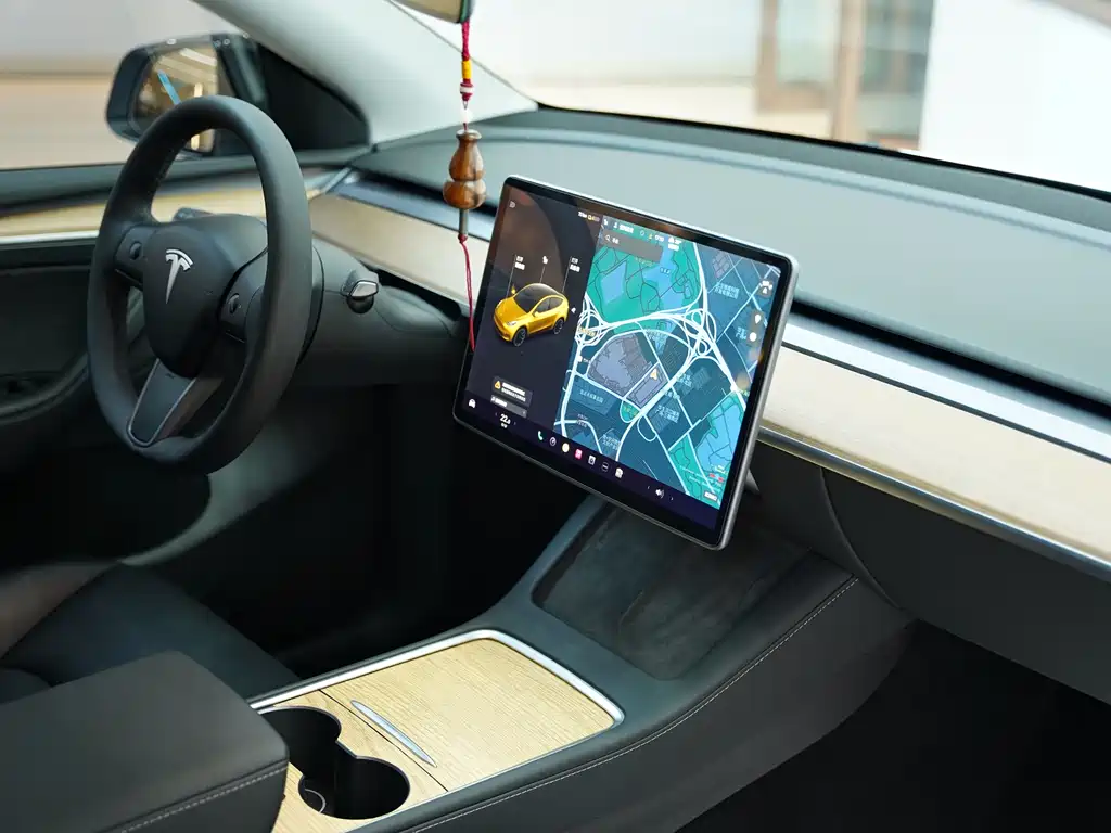 Model Y 2021 Standard Range Rear-Wheel Drive Edition