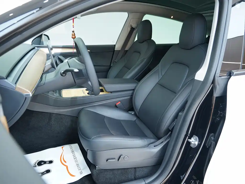 Model Y 2021 Standard Range Rear-Wheel Drive Edition