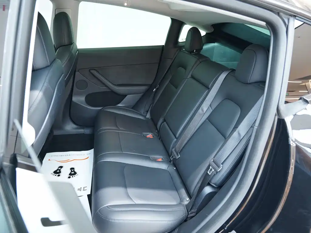 Model Y 2021 Standard Range Rear-Wheel Drive Edition