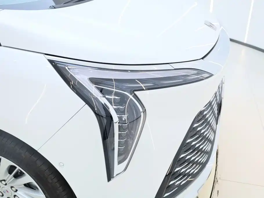 2025 Century 2.0T Six-Seater Yunshe Edition