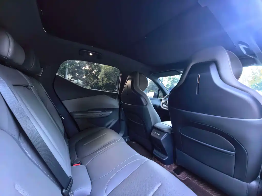 Lynk & Co Z20 2025 Edition 530km Rear-wheel Drive Max