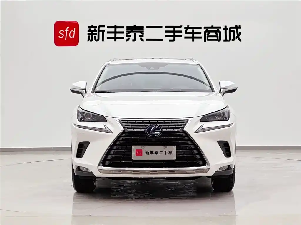 Lexus NX 2020 300h Front-wheel Drive Fengshang Edition National VI
