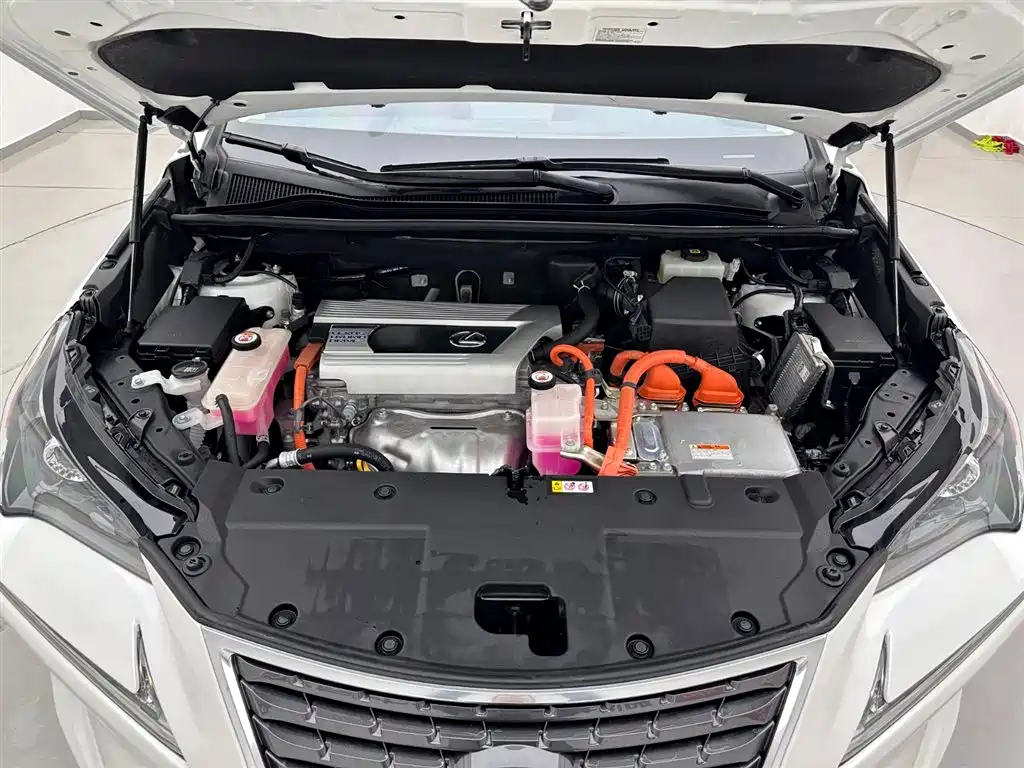 Lexus NX 2020 300h Front-wheel Drive Fengshang Edition National VI