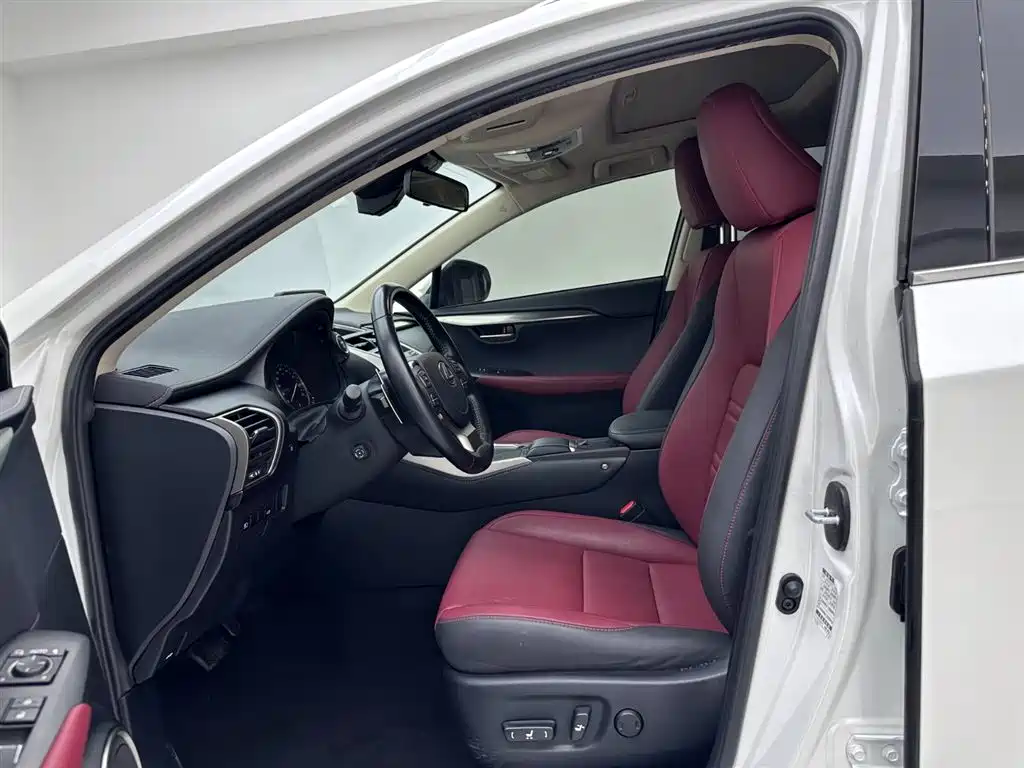Lexus NX 2020 300h Front-wheel Drive Fengshang Edition National VI
