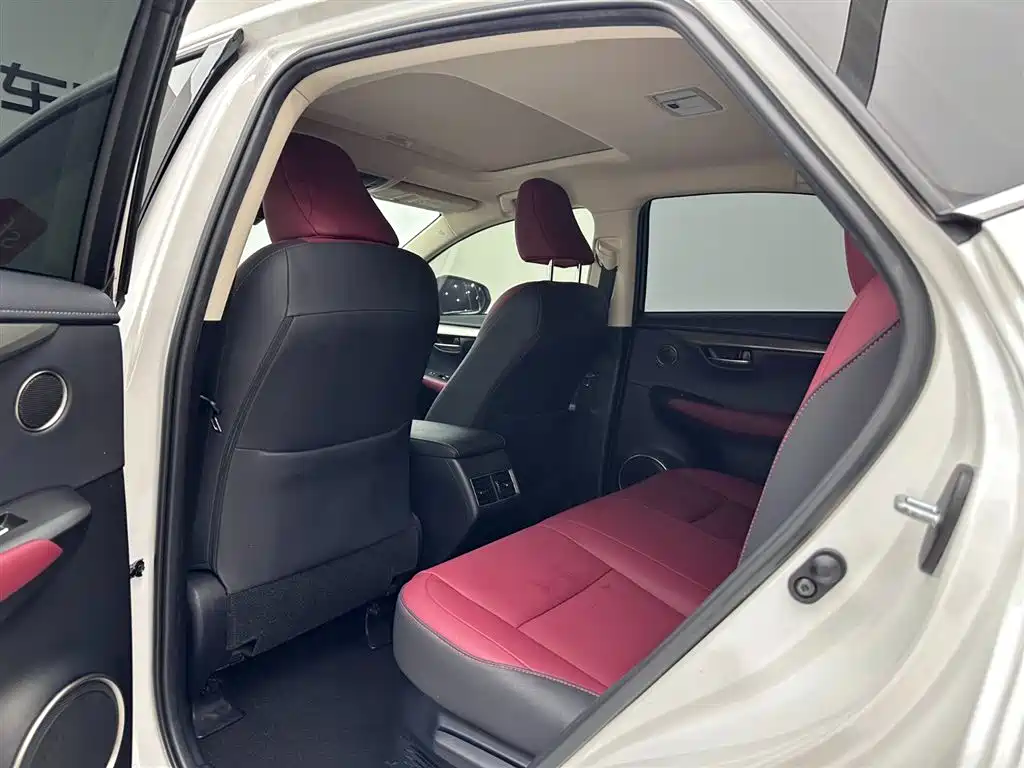 Lexus NX 2020 300h Front-wheel Drive Fengshang Edition National VI
