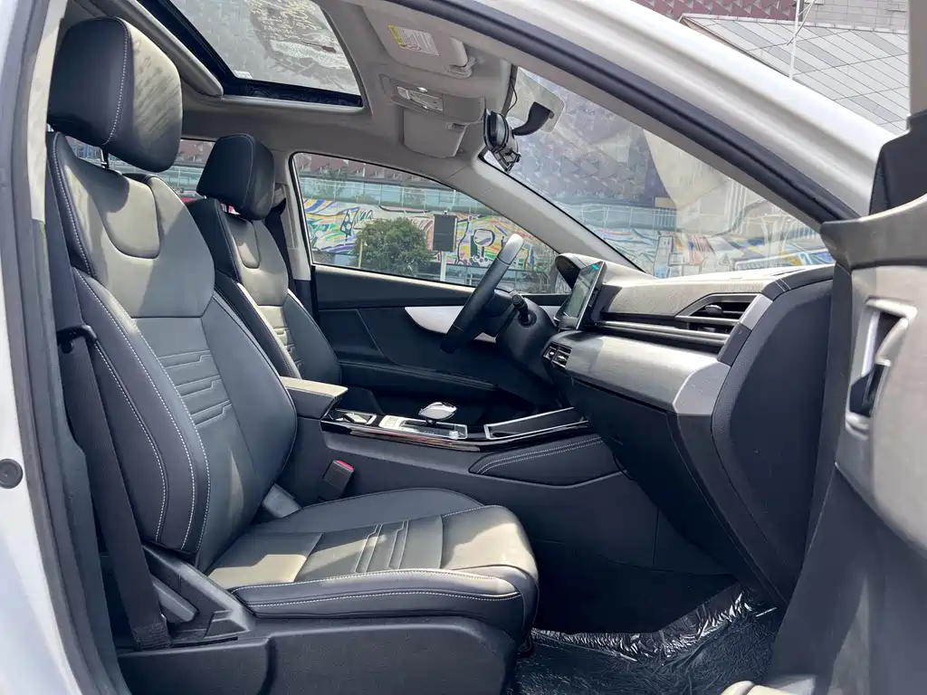 Qin New Energy 2019 Model High Range Edition Luxury Type