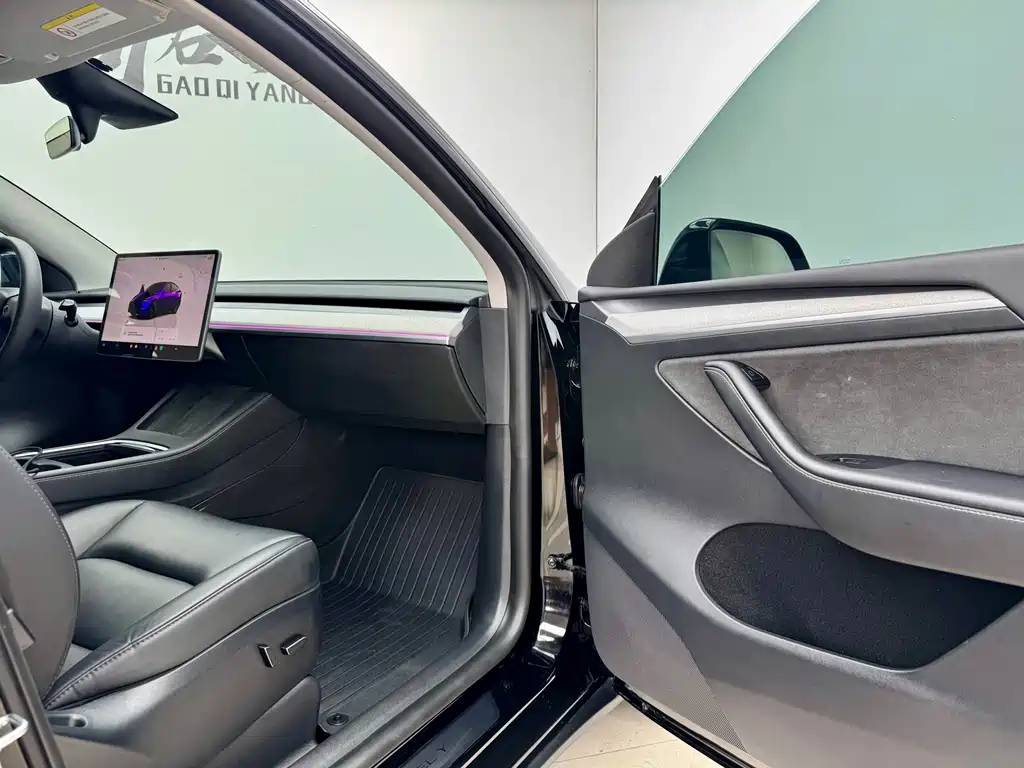 Model Y 2023 Rear-Wheel Drive Edition