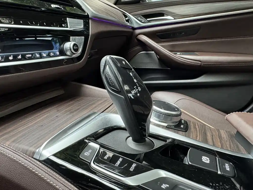 BMW 5 Series 2020 530Li Grandeur Edition Luxury Package