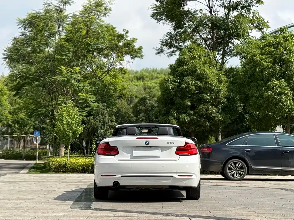 BMW 2 Series Convertible 2018 220i Sport Design Package