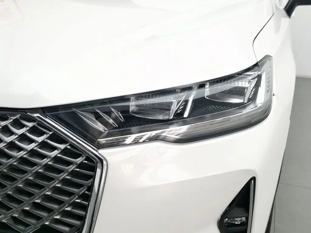 Haval H6 2022 Model Third Generation 1.5T Automatic Two-Wheel Drive Max