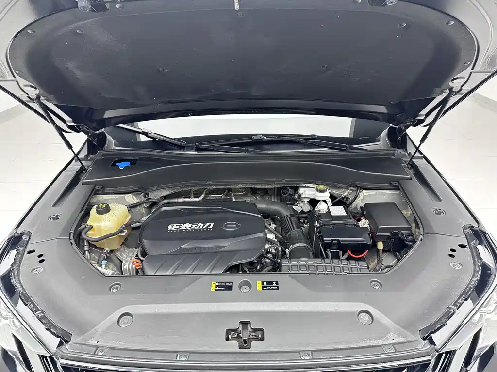 Chery GS8 2022 Model Leading Series 2.0TGDI Two-wheel Drive Luxury Smart Connectivity Edition (7-seater)