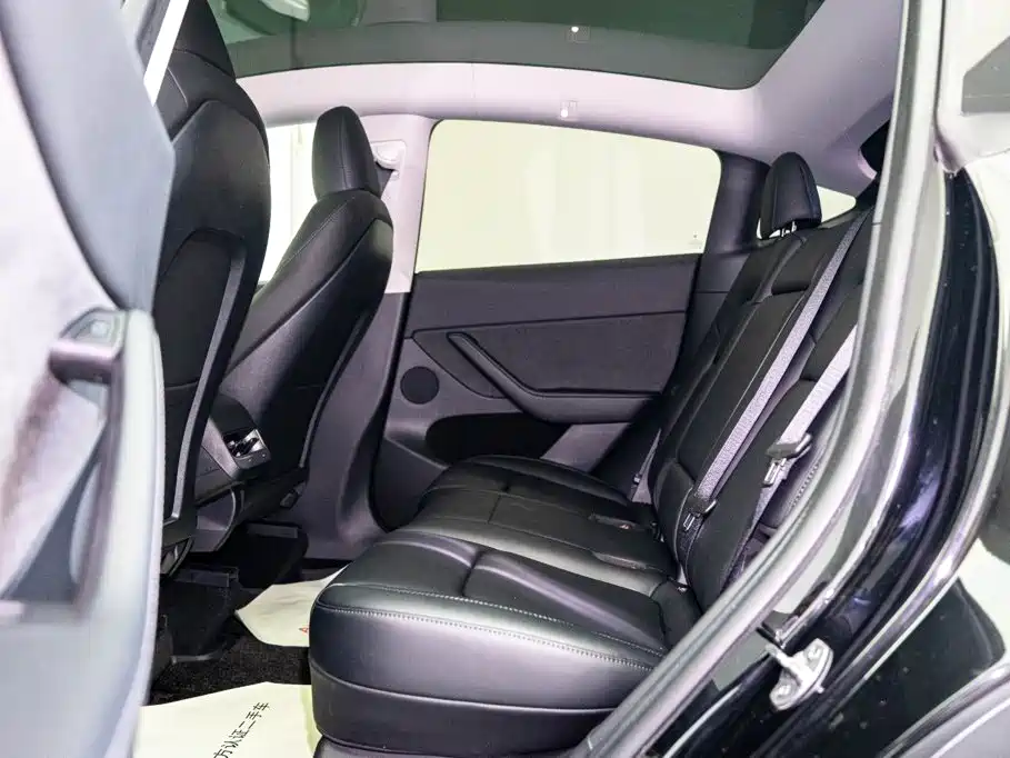 Model Y 2022 Rear-Wheel Drive Edition