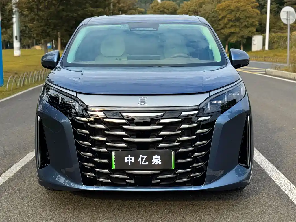 Xia 2025 Model DM-i 1.5T 180km Excellence Edition