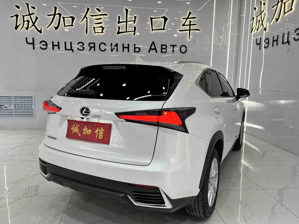 Lexus NX 2020 200 All-Wheel Drive Fengshang Edition National VI