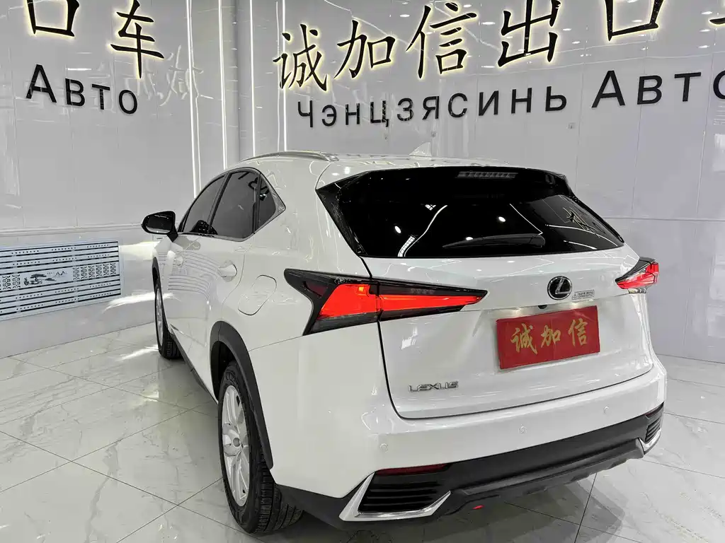 Lexus NX 2020 200 All-Wheel Drive Fengshang Edition National VI