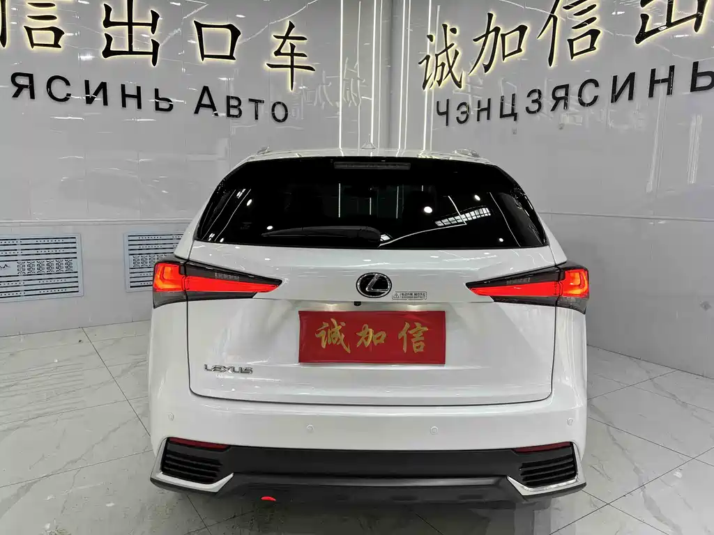 Lexus NX 2020 200 All-Wheel Drive Fengshang Edition National VI