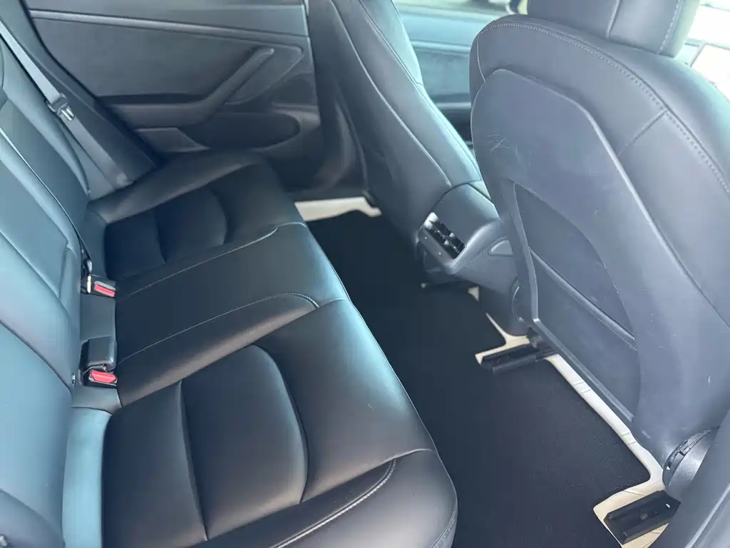 Model 3 Standard Range Rear-Wheel Drive Upgrade Version 2020