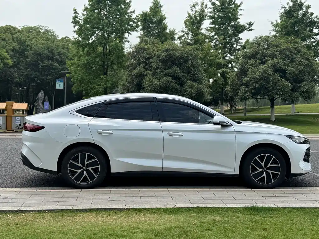 Qin L 2024 DM-i 120KM Leading Edition