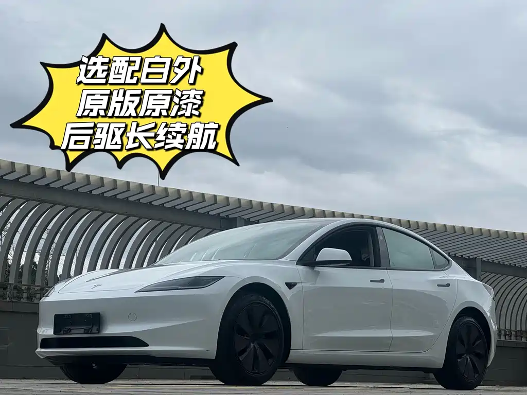 Model 3 Long Range Rear-Wheel Drive 2025 Edition