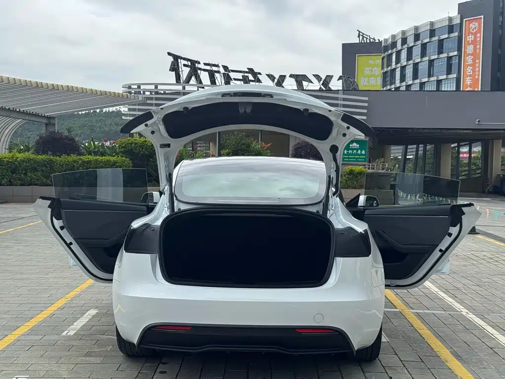 Model 3 Long Range Rear-Wheel Drive 2025 Edition