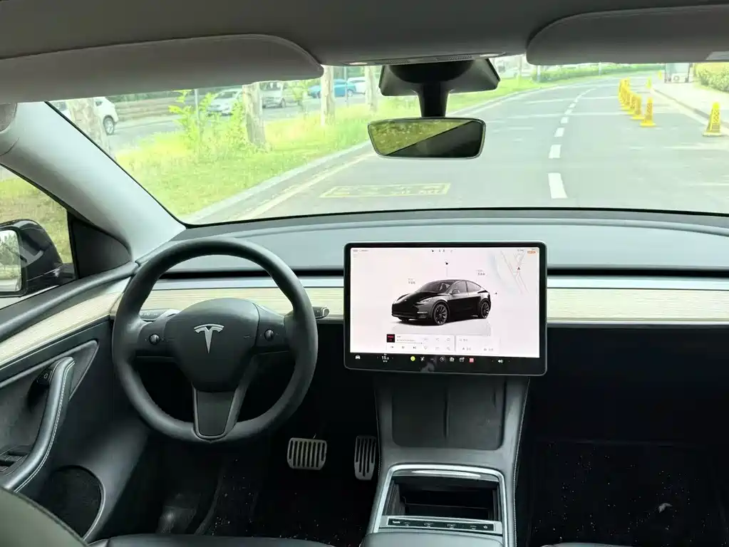 Model Y 2022 Rear-Wheel Drive Edition