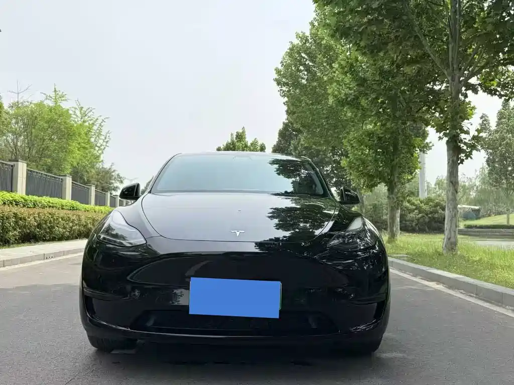 Model Y 2022 Rear-Wheel Drive Edition