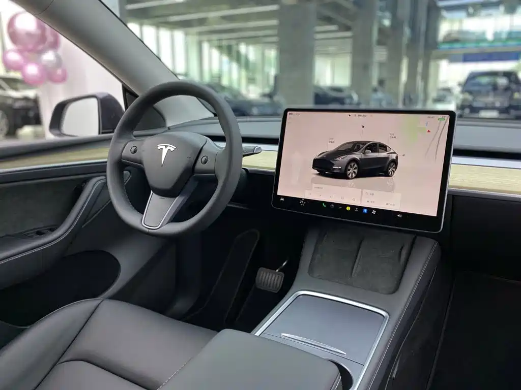 Model Y 2022 Rear-Wheel Drive Edition