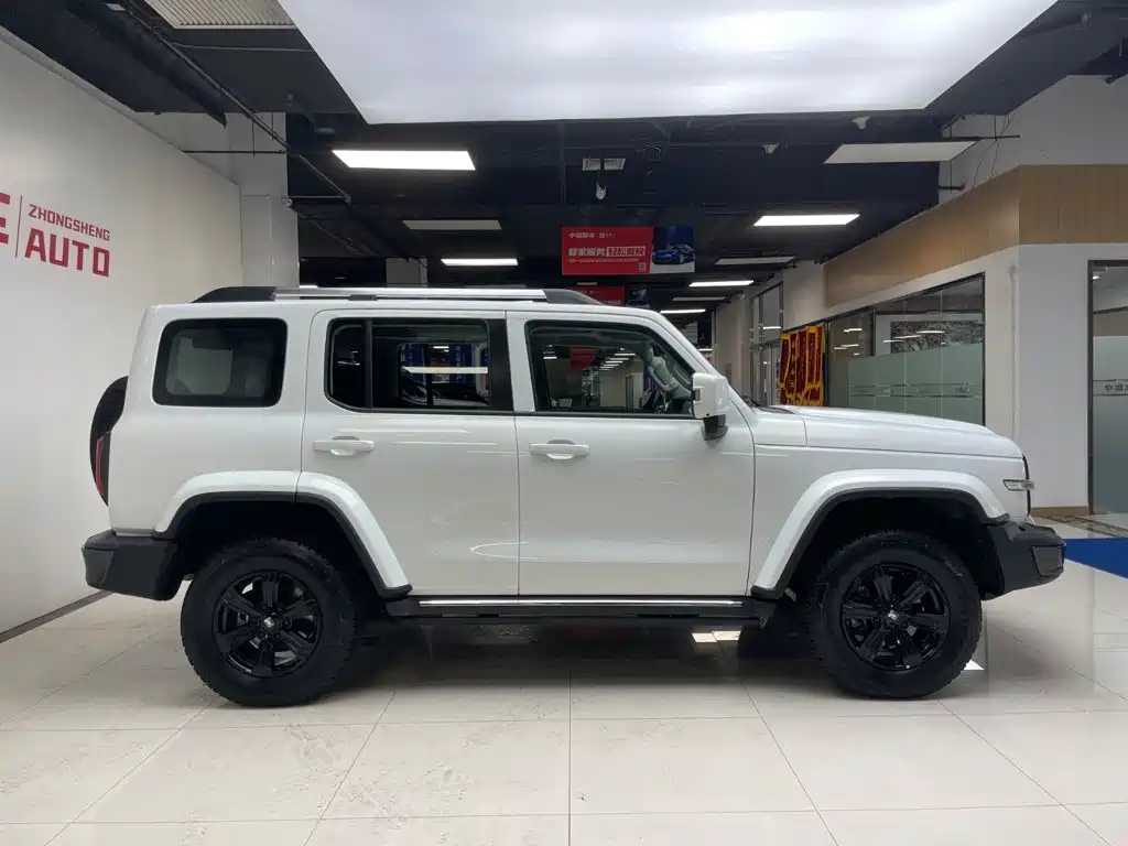 Tank 300 2021 City Edition 2.0T Very Stylish