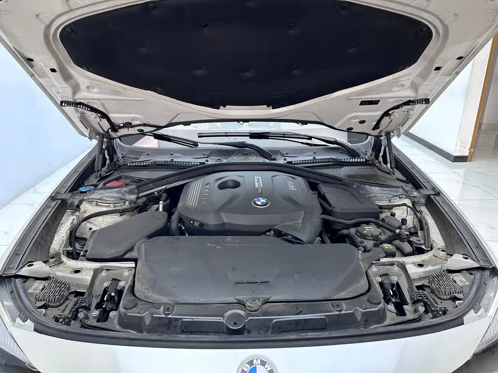 BMW 3 Series GT 2018 320i Sport Line