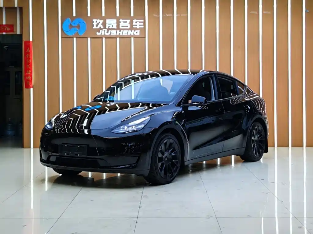 Model Y 2022 Rear-Wheel Drive Edition