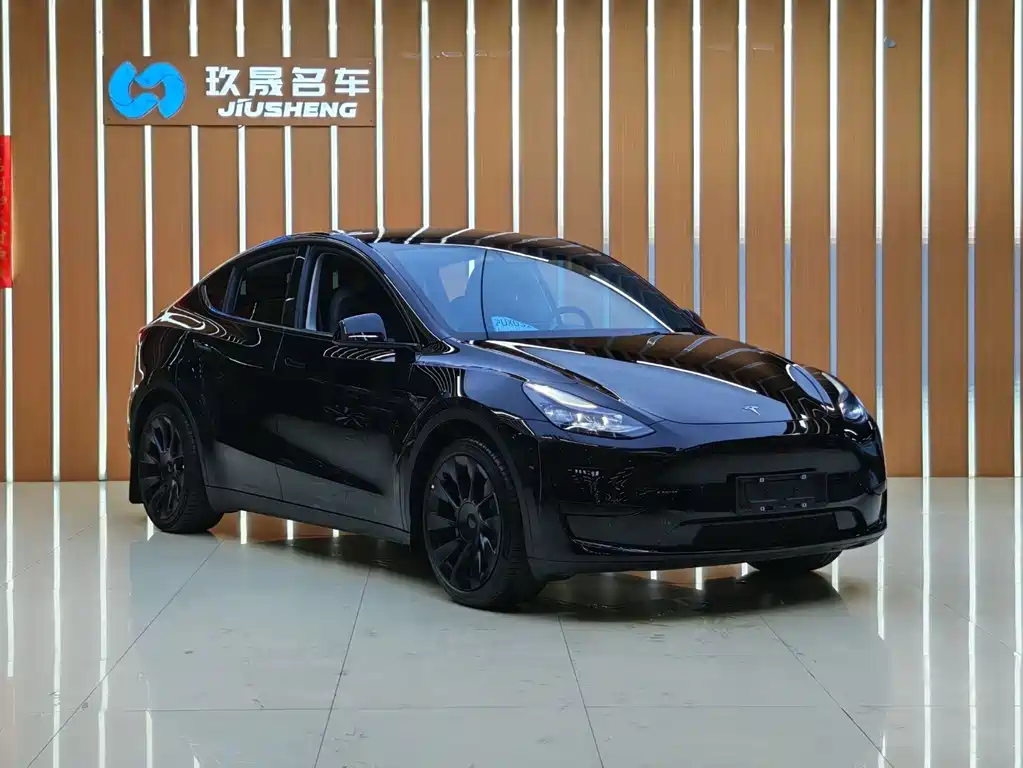 Model Y 2022 Rear-Wheel Drive Edition