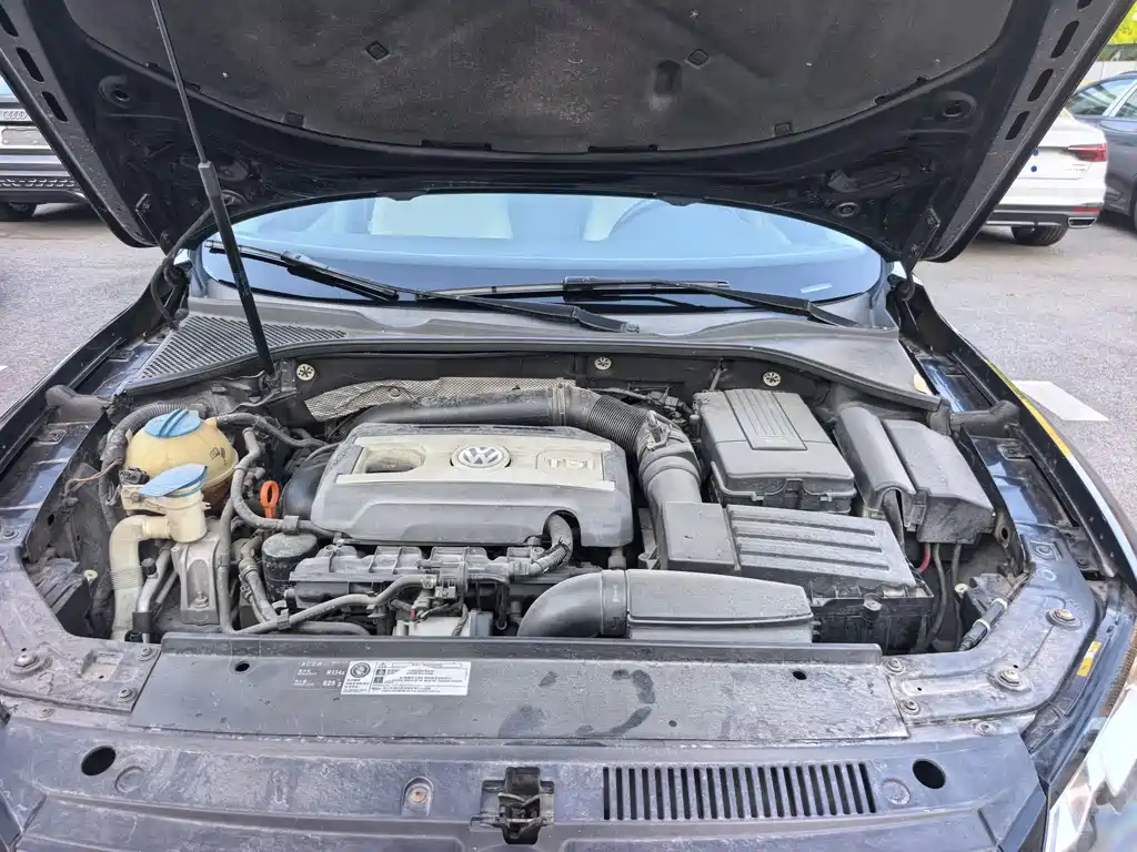 Passat 2013 1.8TSI DSG Yuzhen Edition