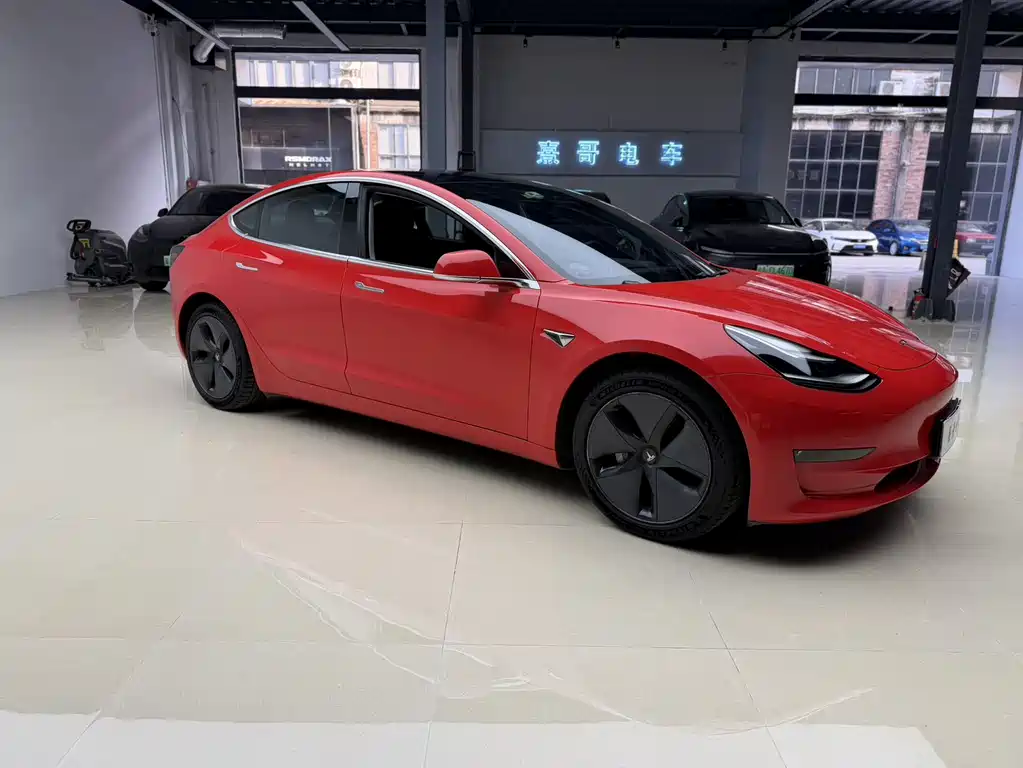 Model 3 Long Range Rear-Wheel Drive 2019 Import Edition