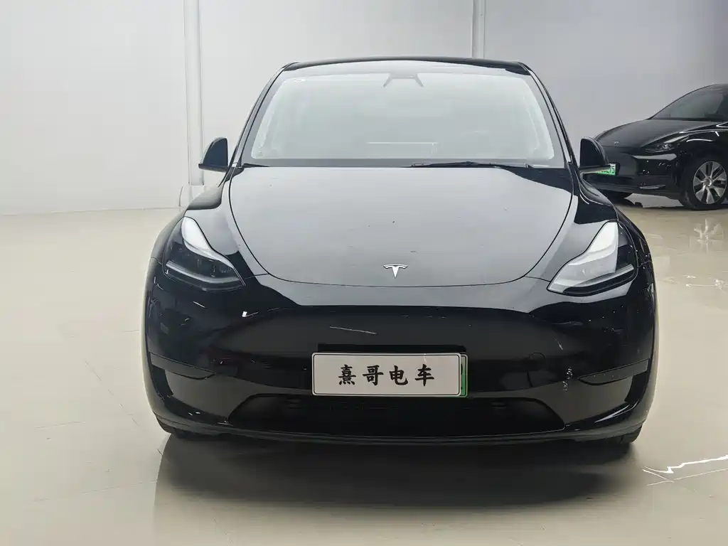 Model Y 2022 Rear-Wheel Drive Edition