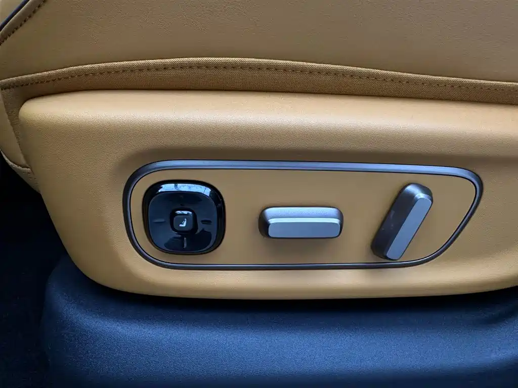 Lemon i6 2025 Model Two-wheel-drive Standard Edition