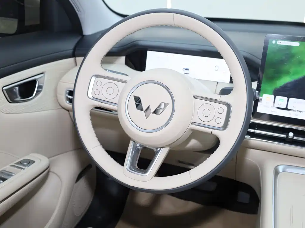 Bingo S 2025 Edition 430km Flagship Model