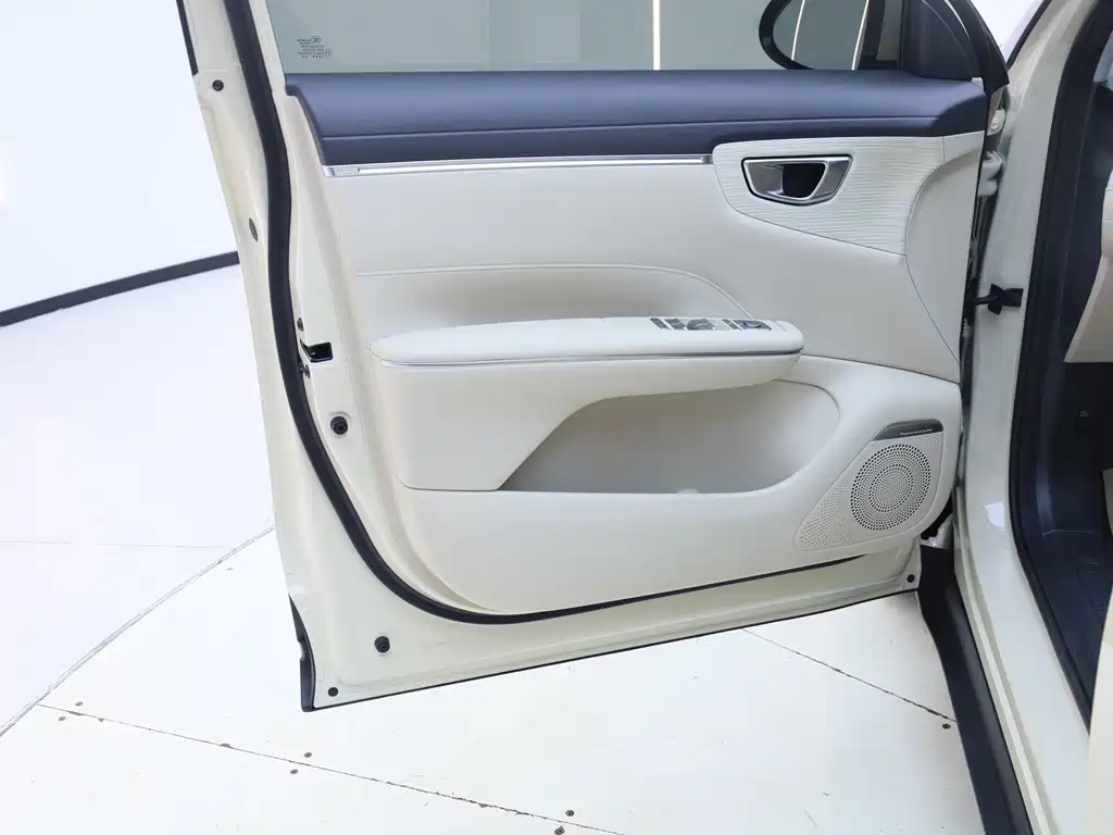 Bingo S 2025 Edition 430km Flagship Model