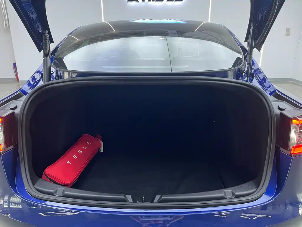 Model 3 2021 Rear-Wheel Drive Standard Range Upgrade Edition 3D1