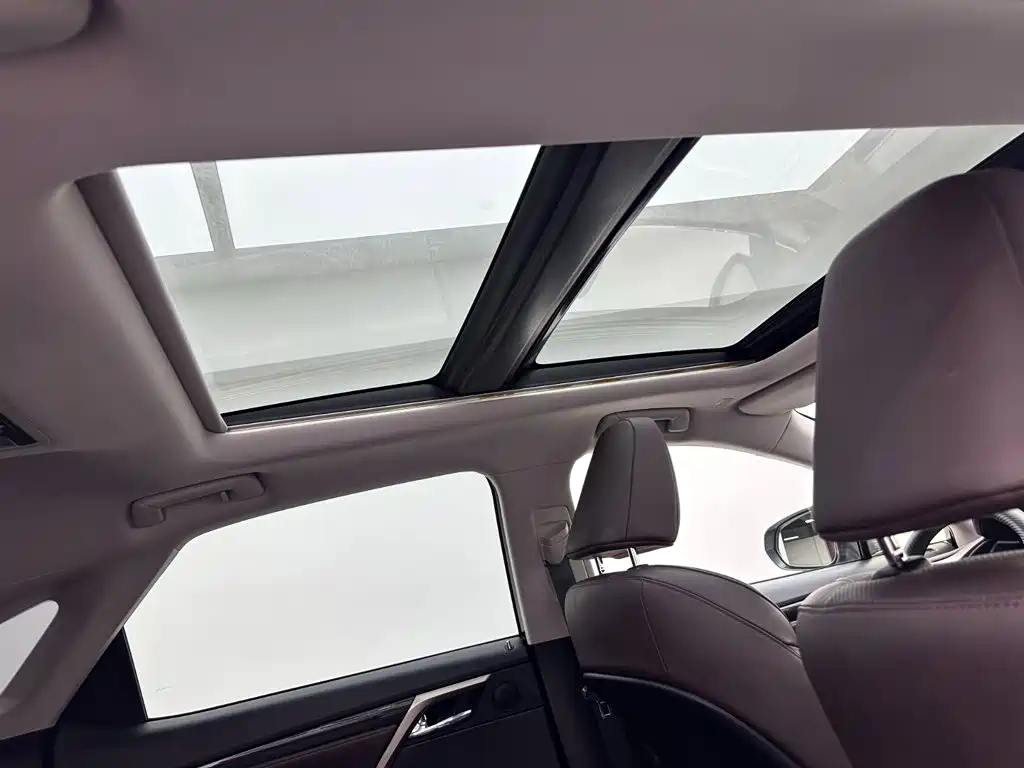 Lexus RX 2020 Facelift 300 4WD Elegant Edition