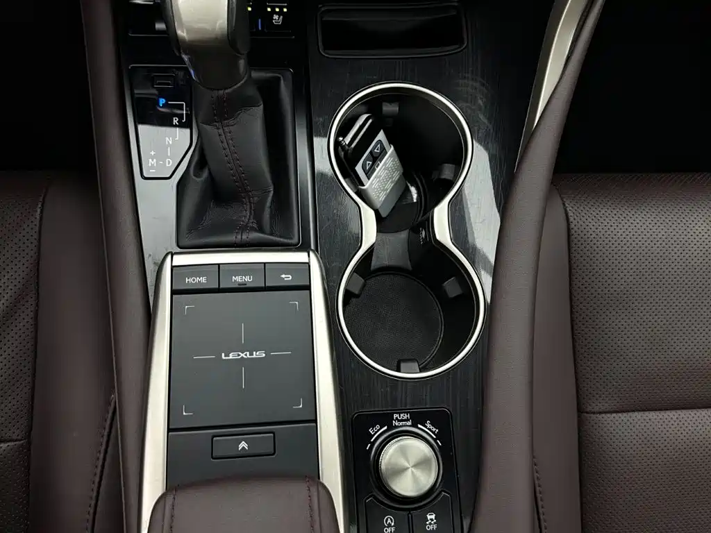 Lexus RX 2020 Facelift 300 4WD Elegant Edition