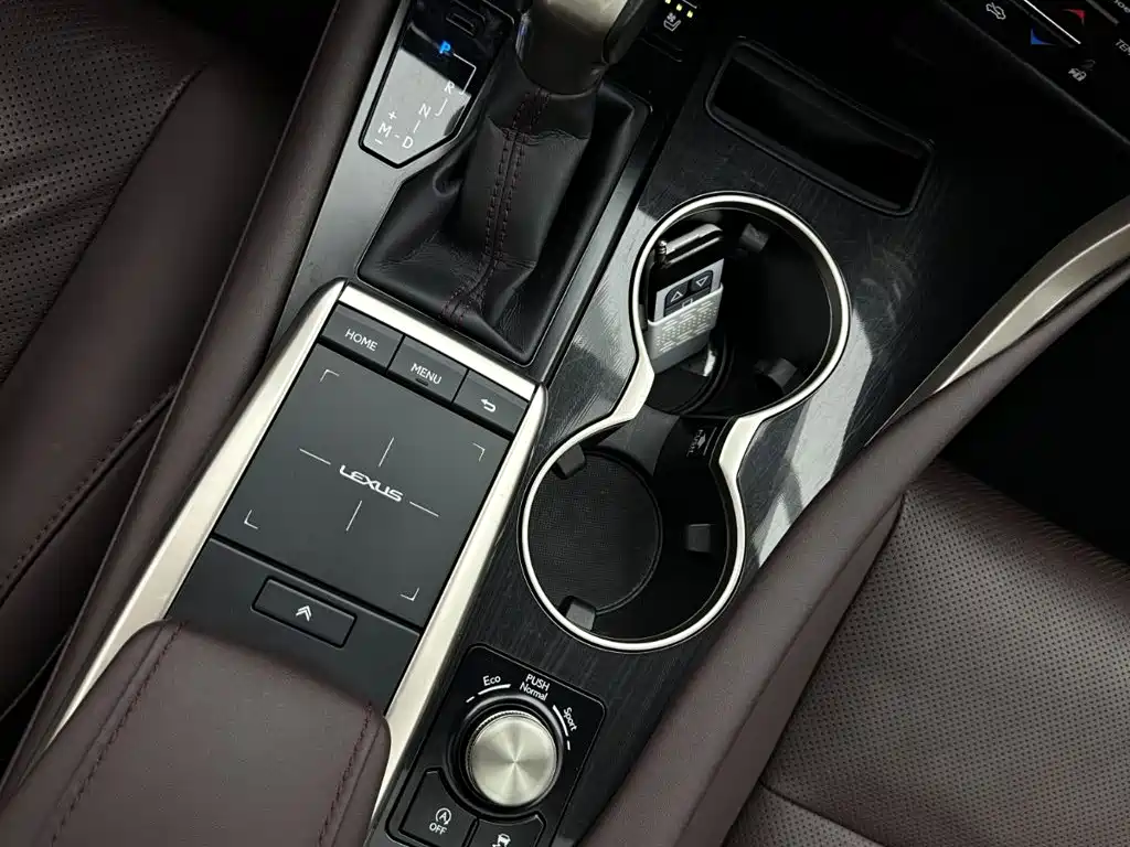 Lexus RX 2020 Facelift 300 4WD Elegant Edition