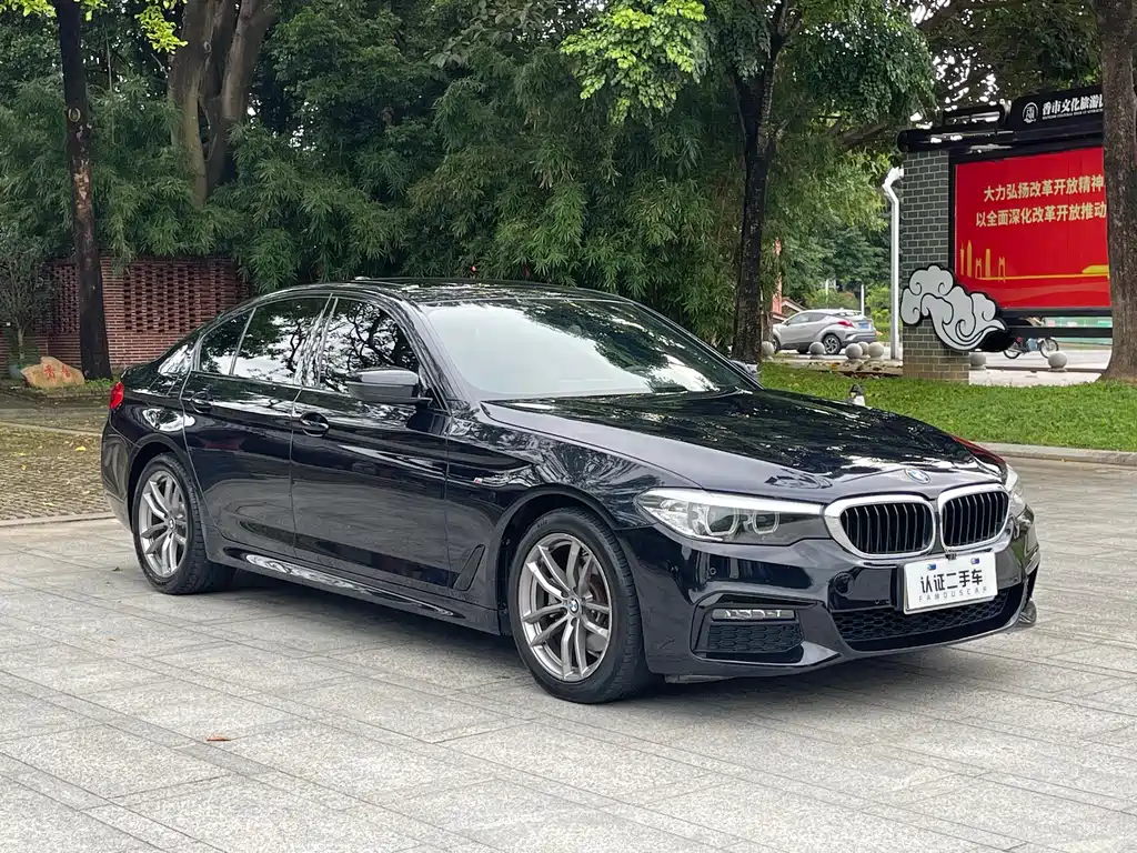 BMW 5 Series Import 2019 525i M Sport Package